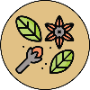 Whole Spices